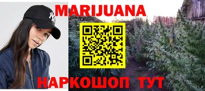 гашик Ливны